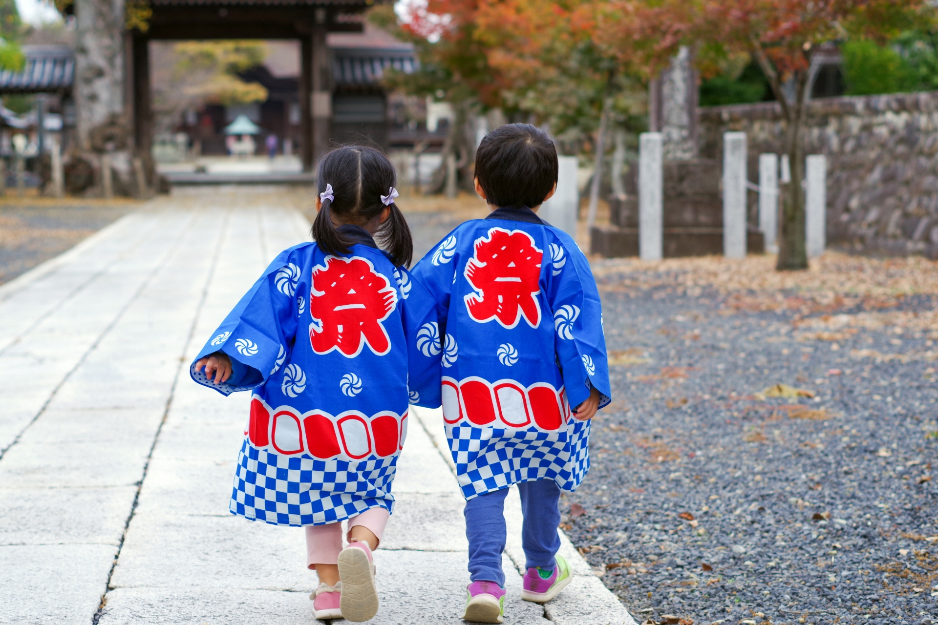 タイトルが入ります